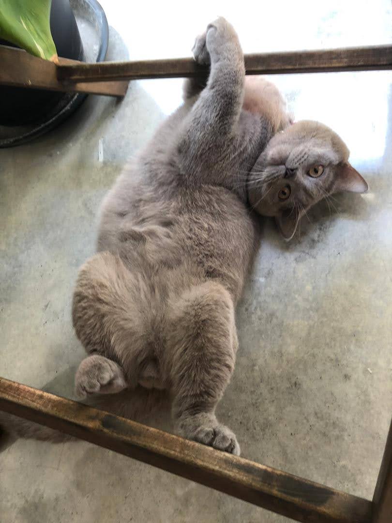 Siok Eng Low's avatar'