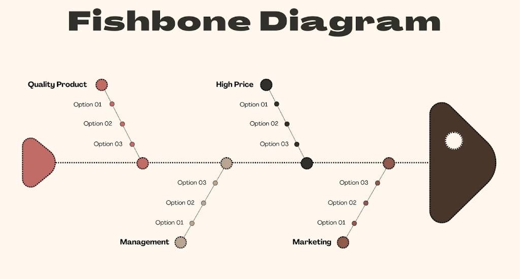 Understanding Fishbone Diagram